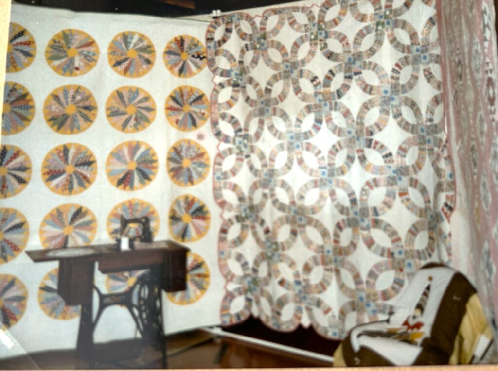 quilts from first quilt show